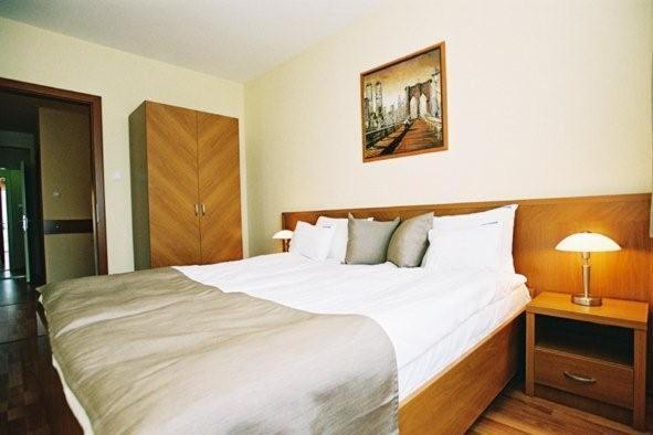Panorama Wellness Apartman Hotel Hajduszoboszlo Phòng bức ảnh